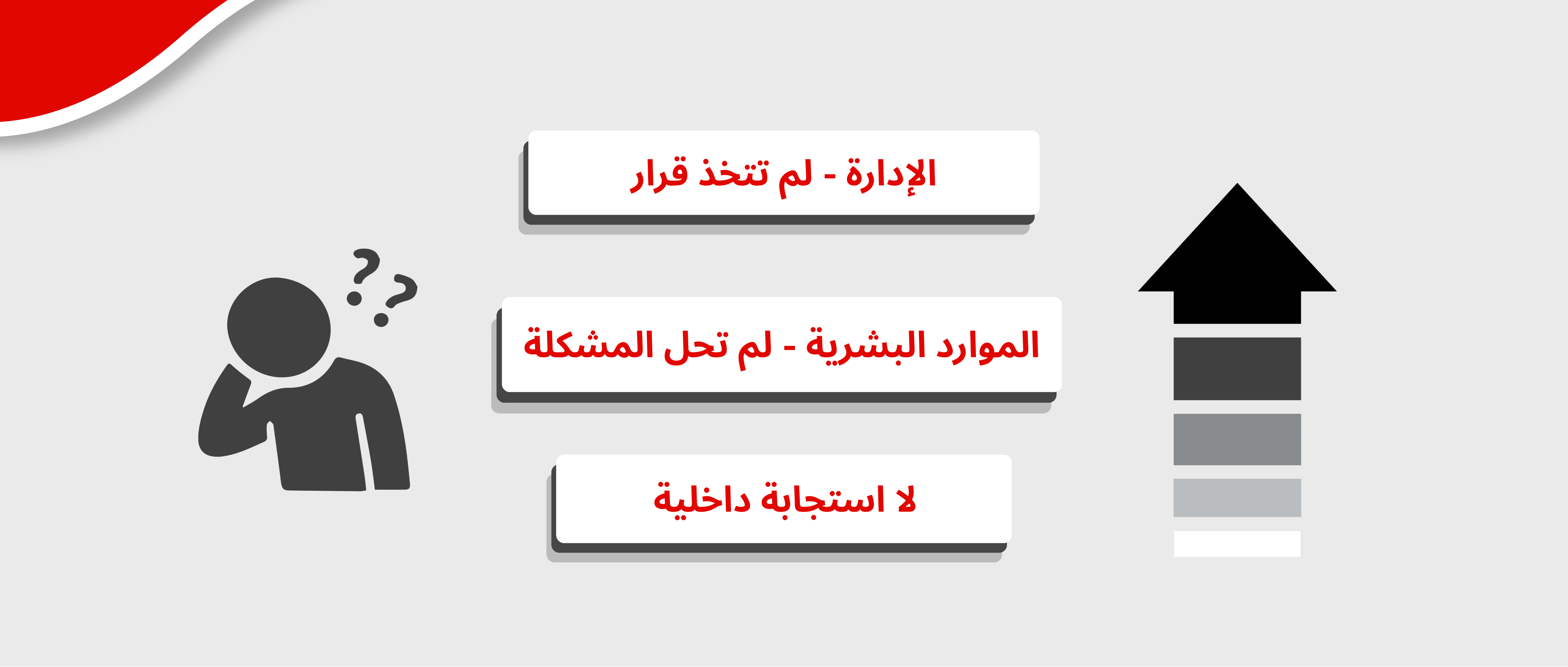 صورة 3